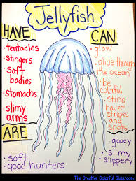 Informational Anchor Charts Ocean Theme Classroom Ocean Theme Preschool Ocean Classroom