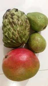 Mangue Pomme Cannelle Et Goyave Fruit Mango Food