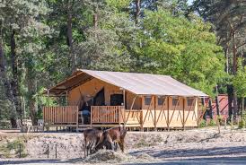 Ontdek de wereld van beekse bergen met je eigen auto! Safarizelt 6 Personen Unterkunft Beekse Bergen