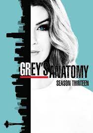 Into its 13th year and still a family favourite. Grey S Anatomy Season 13 Watch Episodes Streaming Online