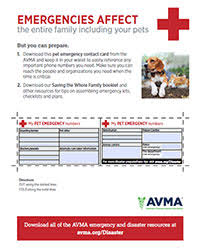 Clinic Posters Client Handouts American Veterinary