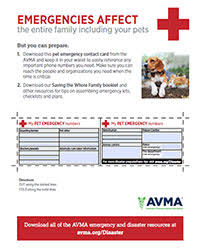 clinic posters client handouts american veterinary