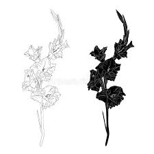 Check spelling or type a new query. Lline Art Image Of A Flower Gladiolus Flower Bud And Leaf In Black Isolated On White Background Stock Vector Illustration Of Nature Doodle 160550799