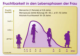 Diese tage im weiblichen zyklus werden auch fruchtbarkeitsfenster genannt. Fruchtbarkeit Der Frau Wie Lange Verhuten Lz Gesundheitsreport