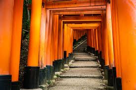 Check spelling or type a new query. Hiking To The Top Of Fushimi Inari In Kyoto Worldwide Walkers