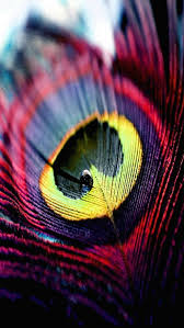 61 Android Mobile 2020 Hd Wallpapers On Wallpapersafari Download and share awesome cool background hd mobile phone wallpapers. 61 android mobile 2020 hd wallpapers