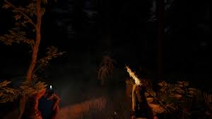 Depending on your device, you may need to type in your cheat codes before it installs. The Forest On Steam