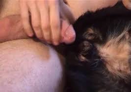 Le meilleur de la zoophilie c'est maintenant avec cette vidéo d'une salope en train de se faire bouffer la chatte par son cleps. Perverted Guy Penetrates Black Female Dog Zoo Tube 1