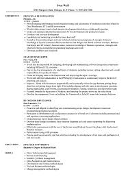 developer, bi resume samples velvet jobs