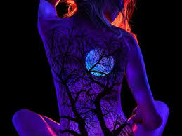 58 lovebirds wallpapers on wallpaperplay. Pa Alip Mmachdar73 Profil Pinterest