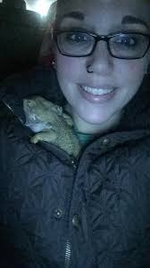 BEHOLD‼The most terrifying, saber-toothed bearded dragon you have ever  seen! ☠👹😱 Model: Rex Payne