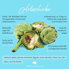 Food Facts Artischocke Brain Food Magazin Artischocken Food Magazine Artischockenherzen