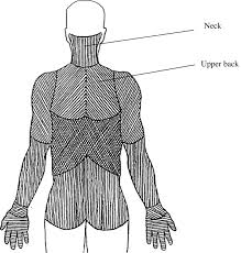 When people think of a wider back, they are essentially thinking mainly about the lats (in blue), as well as about the lats' little helper shrugs involve scapular elevation, which means that they target the upper fibers of the traps. Simple Neck Pain Questions Used In Surveys Evaluated In Relation To Health Outcomes A Cohort Study Bmc Research Notes Full Text