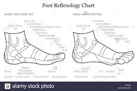 Reflexology Foot Stock Photos Reflexology Foot Stock