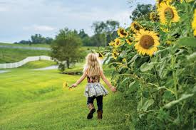 Visit Grace Meadows Farm for Sunflowers and Southern Food