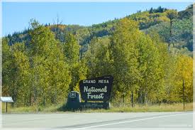 Check spelling or type a new query. Grand Mesa Dezembercamper