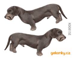 Image result for jezevčík drsnosrstý