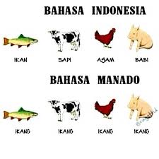 Bahasa Manado Gambar Lucu Lucu Meme Lucu