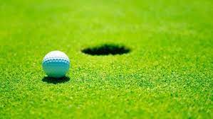 Tanam rumput gajah mini, tanam rumput golf, mudah nya tanam rumput, tanam rumput yuk, mau tanam rumput, bagaimana cara tanam rumput, beli rumput dimana, rumput golf, rumput gajah mini , cara. Serba Serbi Rumput Taman Tukang Taman Jogja Jasa Taman Di Jogja
