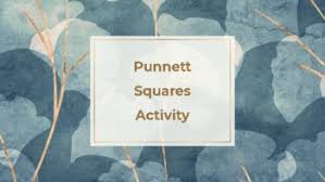 Punnett squares activity