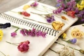 Dried pressed flowers for crafts, pressed flowers mixed pack, dry pressed flower art, dried flower wedding, card making, scrapbooking, art pressedflowersstudio 5 out of 5 stars (351) $ 8.61. Drying Vs Pressing Flowers Which Is The Best Marco Island