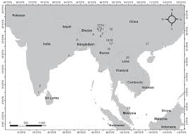 Image result for Pearsonia