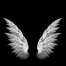Frasi Sfondi Tumblr Bianco E Nero Black and white | shared folder #wattpad #random cercate sfondi tumblr, aesthetic o grunge, per il vostro tanto amato telefono? frasi sfondi tumblr bianco e nero