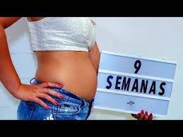 Diario Da Gravidez 7 A 9 Semanas Youtube
