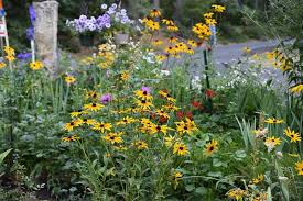 This beautiful garden was created from a wetland area around a tranquil pool in a sheltered valley on the edge of delamere forest. Sow Your Seeds In Fall For A Beautiful Garden Flower Patch Farmhouse