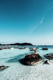 Water clear flowers games stalker windows nature landscape blue beach digital universe dreamy fantasy. 100 000 Best Clear Water Photos 100 Free Download Pexels Stock Photos