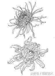 b0c00012fa8fb6efe8c 516 714 chrysanthemum tattoo blackwork lotus flower coloriage parapluie gratuit cours d&#x00027;art