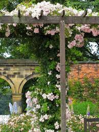 Malgré son apparence lisse et jolie, elle peut nous sortir les pires quoi qu'il en soit, le livre il faut que je vous parle est une petite pépite pour moi dont j'aime relire certains passages de. Blanche Gardin Il Faut Que Je Vous Parle Telechargement Stifatatofdys