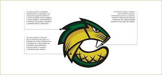 ⬇️ fcpf magazine nº50 bit.ly/3vsjjvd. Fc Pacos De Ferreira On Behance