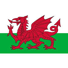 Le pays de galles possède une longue histoire agricole et beaucoup de communautés dépendent fortement de l'agriculture. Planete Supporter Drapeau Pays De Galles 150 X 90 Cm Amazon Fr Sports Et Loisirs