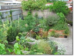 We are going to send you in seconds the best permaculture design science educational content for free via email. Lessons From An Urban Back Yard Food Forest Experiment The Permaculture Research Institute