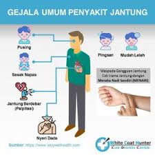 Penyakit jantung bawaan menjadi penyebab kelainan bawaan tersering pada bayi di antara kelainan bawaan lain, seperti: Bisakah Kita Mengenali Gejala Penyakit Jantung Whitecoathunter