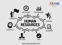 Manpower Outsourcing In 2020 Hr Management Human Resource Management Outsourcing