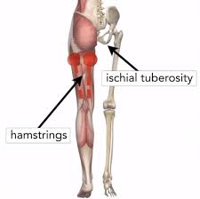 Additional static stretches that may help loosen your lower back include the kneeling hip stretch, erector spinae stretch, and ball inner thigh stretch. Hamstring Stretches 2 Good And 2 Bad Stretches For Low Back Pain