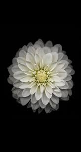 Download All The Latest Ios 8 Wallpapers For Iphone And Ipad Iphone 7 Plus Wallpaper Huawei Wallpapers Iphone 6s Wallpaper
