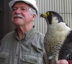 Raptor Resource Project News