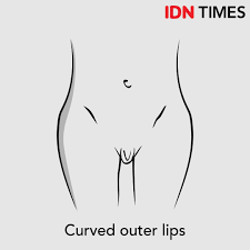 25.04.2015 · gambar hubungan intim suami istri. 7 Macam Bentuk Vagina Pada Wanita