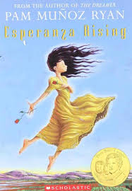 Our list of the 50 best historical fiction books includes bestsellers, bookseller picks, and award winners. The Best Historical Fiction Chapter Books For Kids Imagination Soup