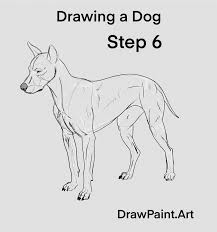 Learn how to draw and sketch pigs and create great cartoons, illustrations and drawings with these free drawing lessons. How To Draw Animals Any Dog In 7 Steps Drawpaint Art