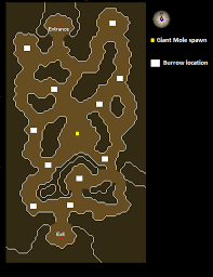 Some zerkers may choose to get 55 to access the spirit shield and many end game zerkers get 99. Giant Mole Strategies Old School Runescape Wiki Fandom