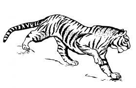 39+ lion and tiger coloring pages for printing and coloring. Tiger Coloring Pages