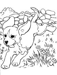 Lisa Frank Coloring Pages Animals Frank Animal Printable Coloring Pages Free Frank Coloring Pages Puppy Coloring Pages Dog Coloring Page Animal Coloring Pages