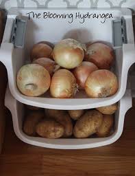 Nevertheless, the best way to store potatoes is to engage the use of a potato storage bin that is built for the primary purpose of storing them. 14 Best Fruit And Vegetable Storage Ideas For 2021