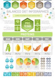 Proteins Diet Infographic Diagram Poster Water Protein Lipid