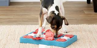 Dificult level 10 satisfactory level 100 what a journey i just went on holy shit. 15 Best Dog Puzzle Toys Challenging Interactive Puzzle Toys For Dogs