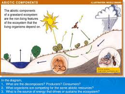 How many food chains are connected. What Is An Ecosystem All The Living Biotic And Nonliving Abiotic Parts Of An Environment As Well As The Interactions Among Them Ecosystems May Be Ppt Download